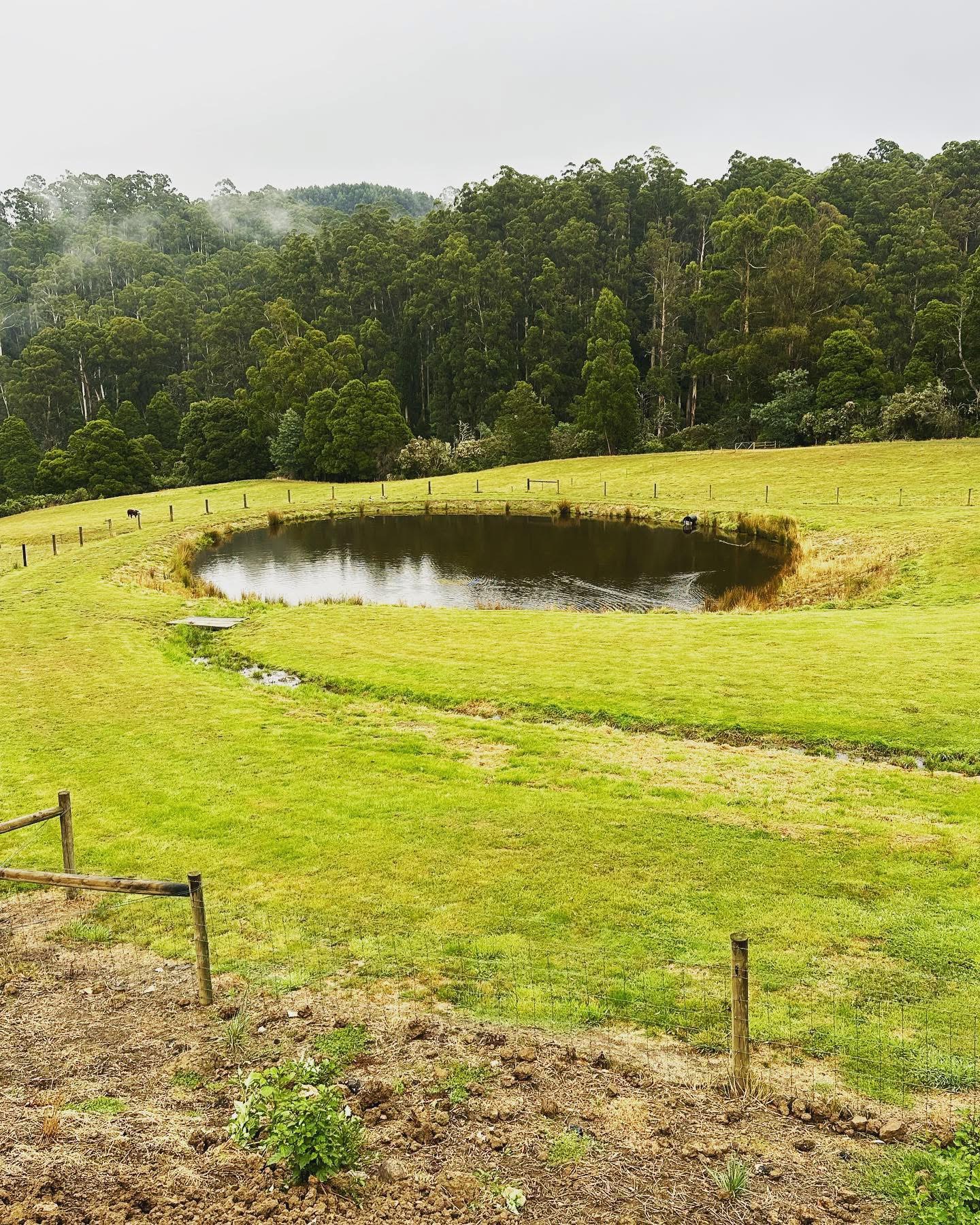 TASK Elite Dams recent work
