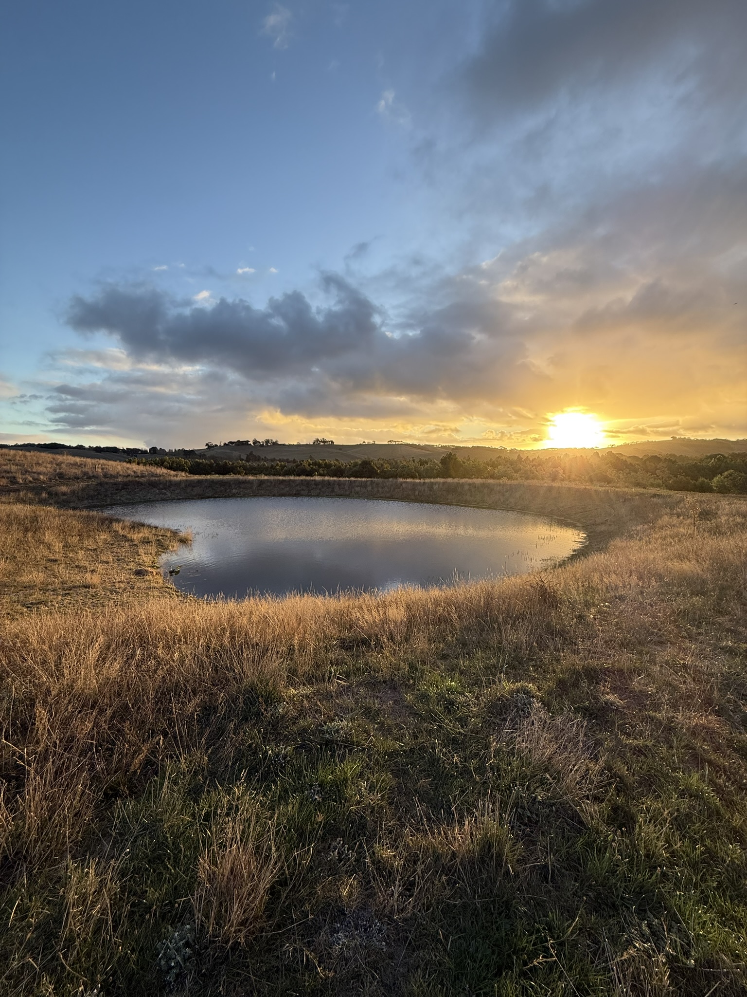 TASK Elite Dams recent work