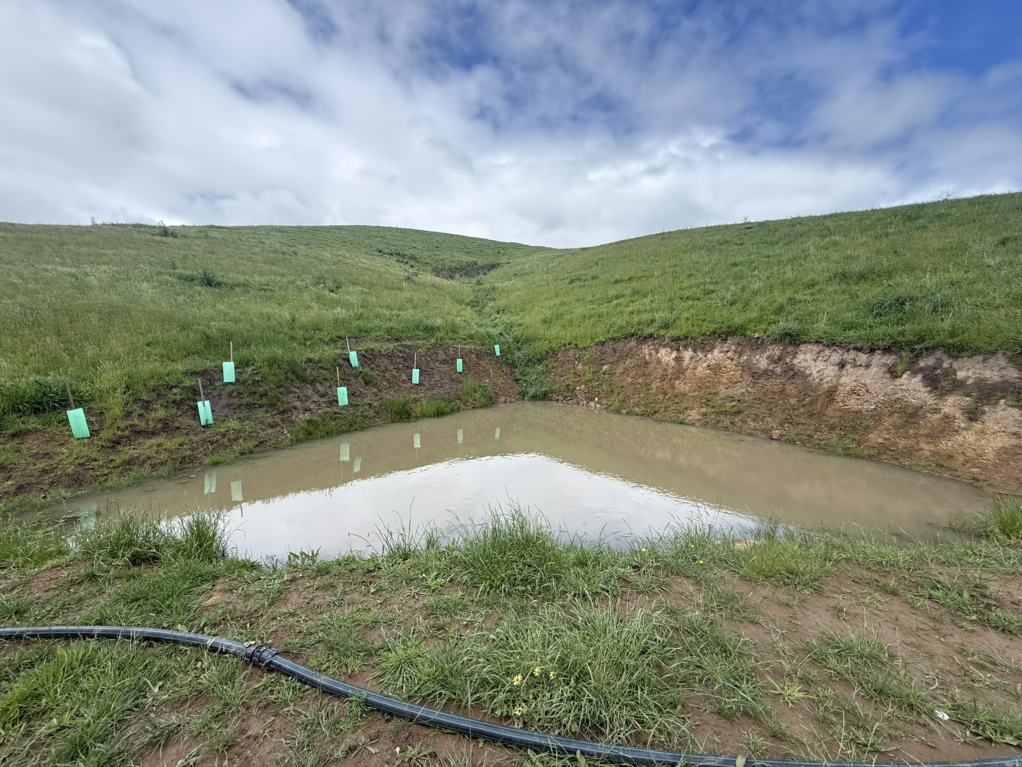 TASK Elite Dams recent work